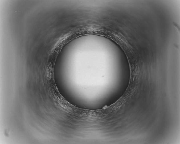 X0000100891207200807011149