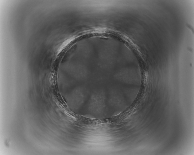 X0000100891208200807011149