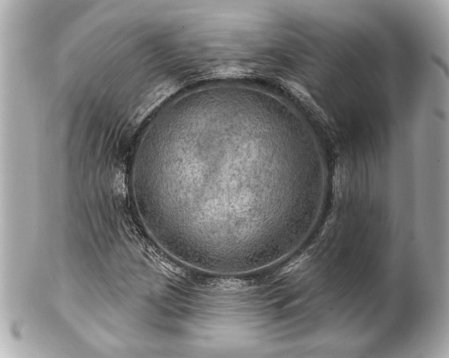 X0000100891209200807011149
