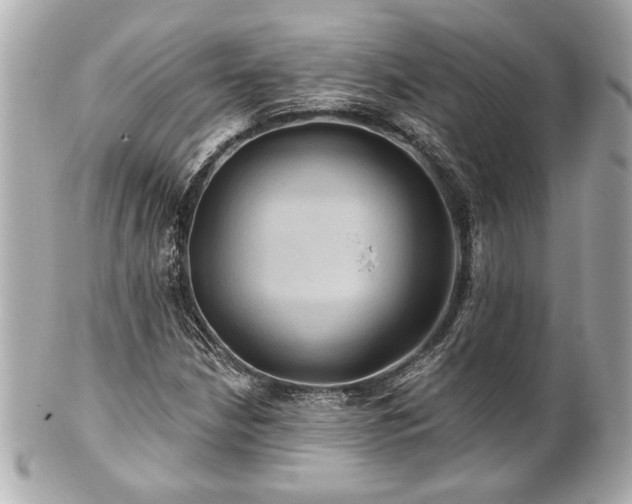 X0000100891210200807011149