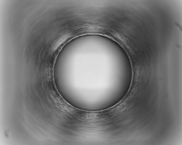 X0000100891211200807011149