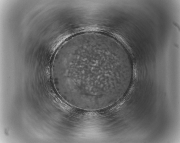 X0000100891212200807011149
