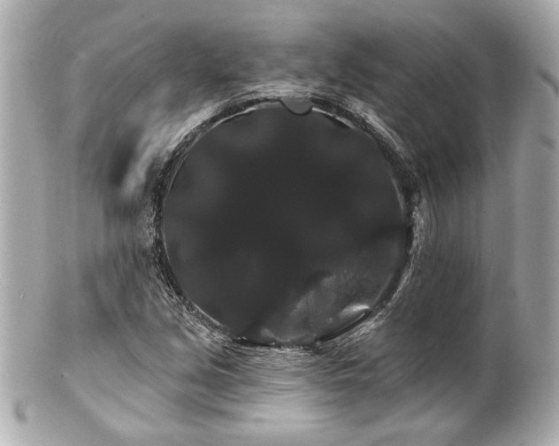 X0000100891213200807011149