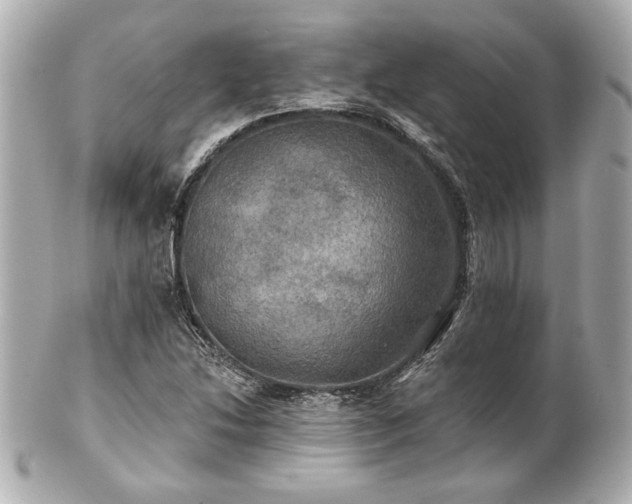 X0000100891214200807011149