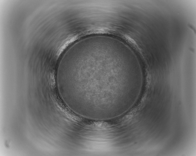 X0000100891218200807011149