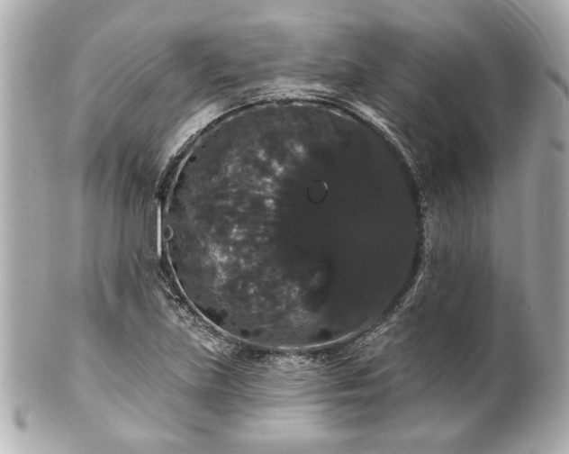 X0000100891219200807011149
