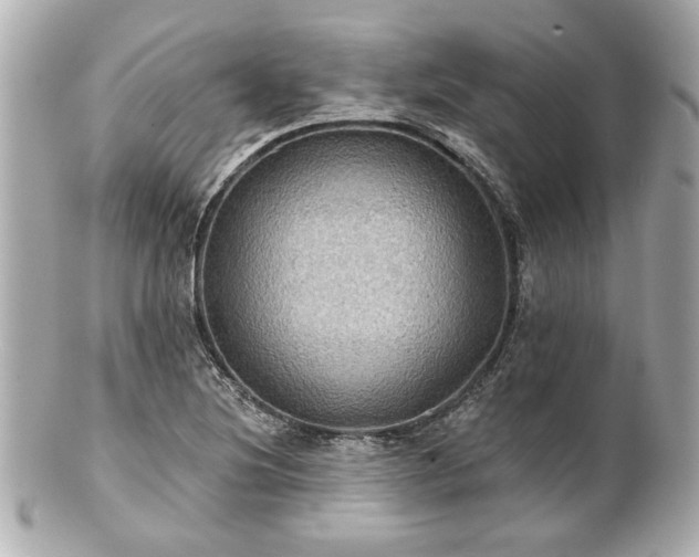 X0000100891220200807011149