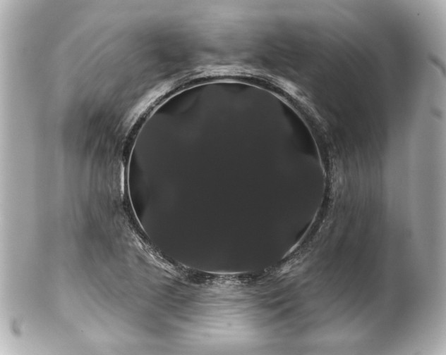 X0000100891221200807011149