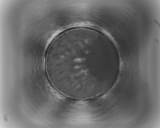 X0000100891224200807011149