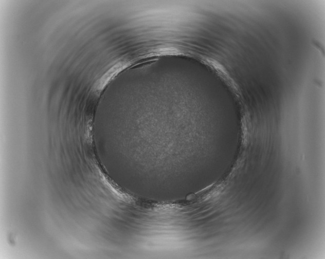 X0000100891225200807011149