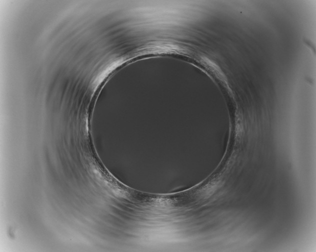 X0000100891226200807011149