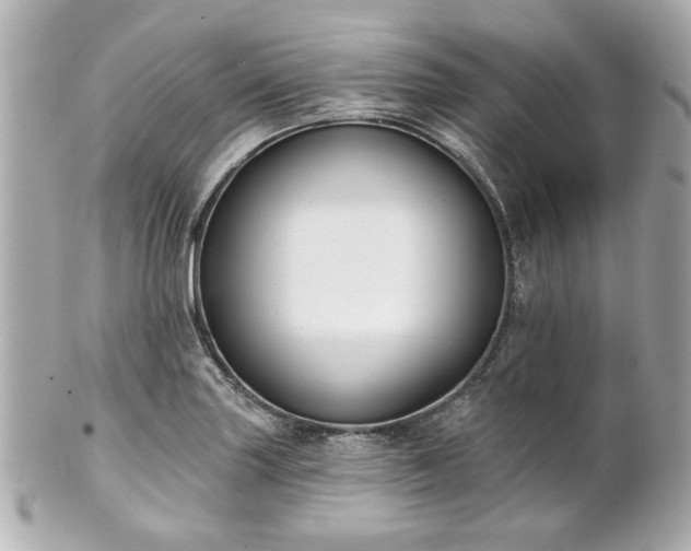 X0000100891227200807011149