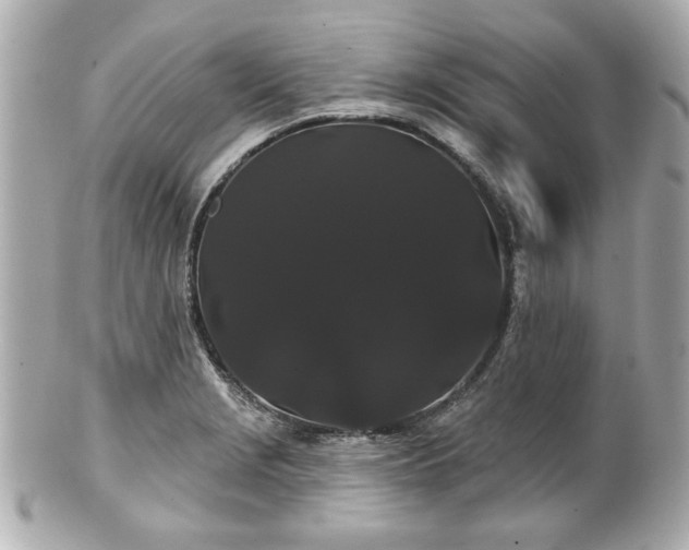 X0000100891229200807011149