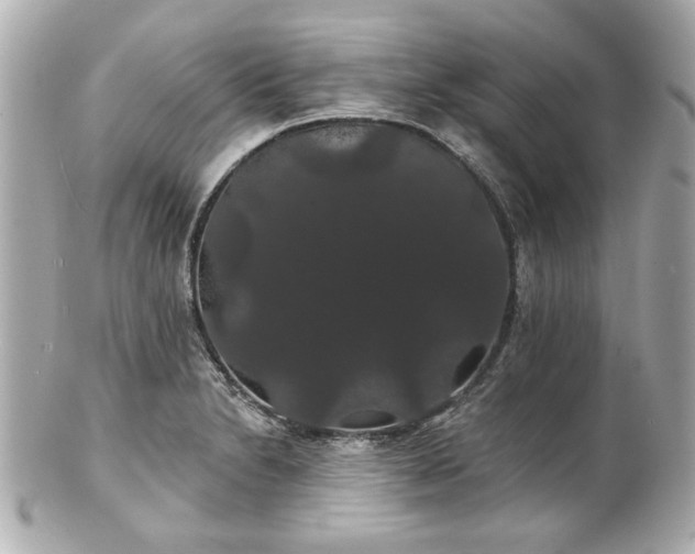 X0000100891230200807011149