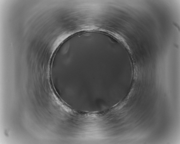 X0000100891231200807011149