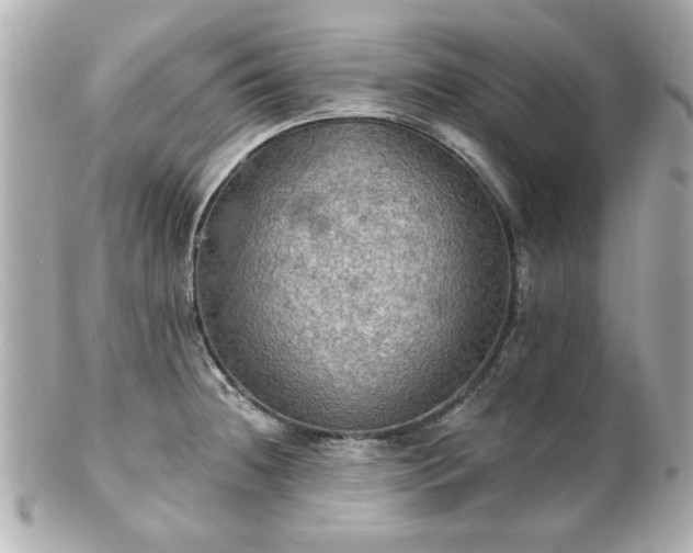 X0000100891236200807011150
