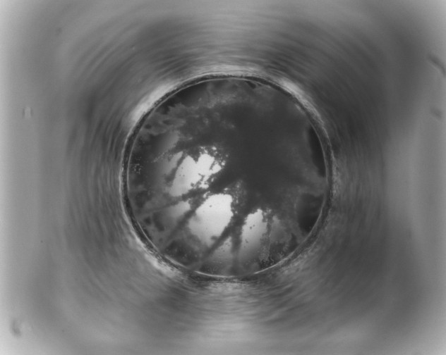 X0000100891237200807011150