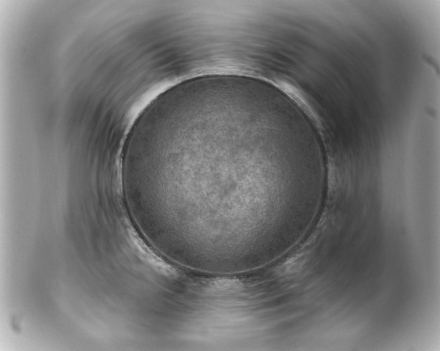 X0000100891238200807011150