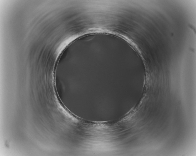 X0000100891239200807011150