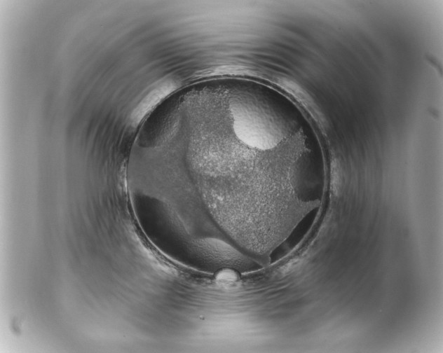 X0000100891241200807011150