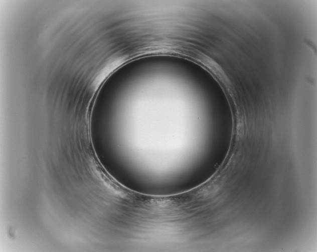 X0000100891242200807011150
