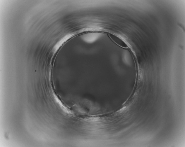 X0000100891245200807011150