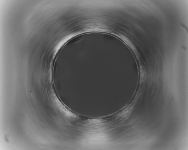 X0000100891246200807011150
