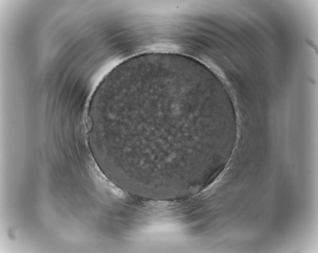 X0000100891248200807011150
