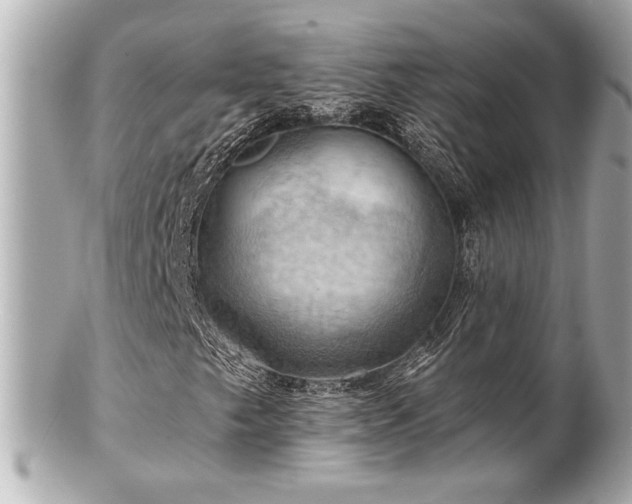 X0000100891249200807011149