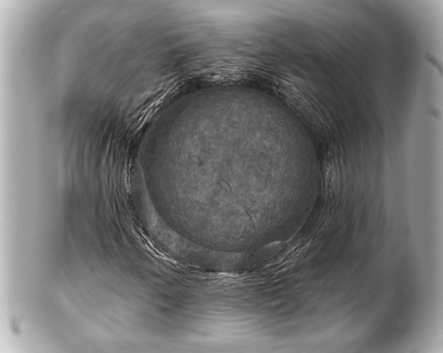 X0000100891250200807011149