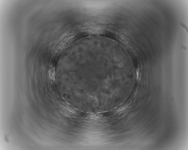 X0000100891251200807011149