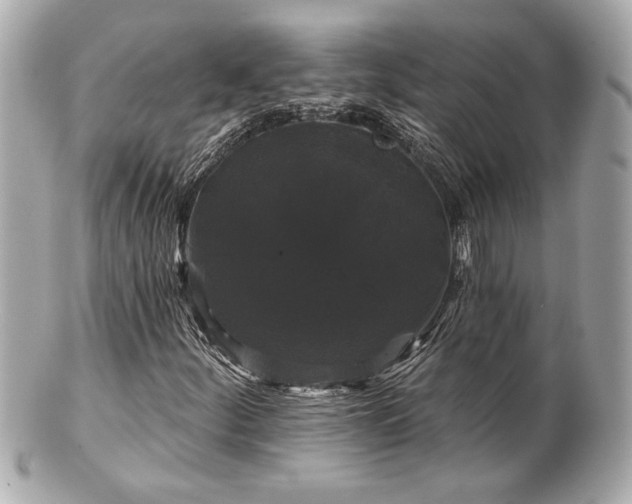 X0000100891252200807011149