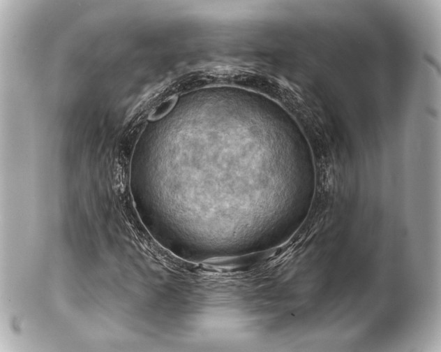 X0000100891253200807011149