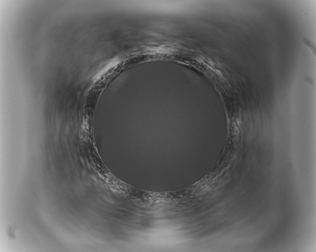 X0000100891254200807011149
