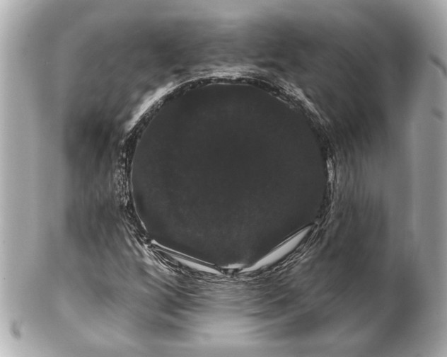 X0000100891256200807011149