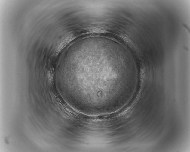 X0000100891257200807011149