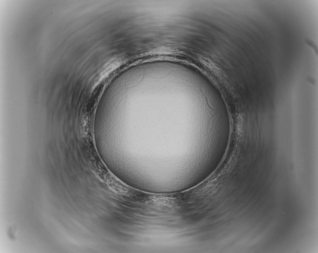 X0000100891258200807011149