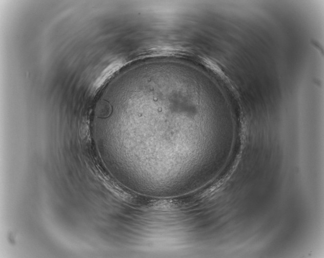 X0000100891259200807011149