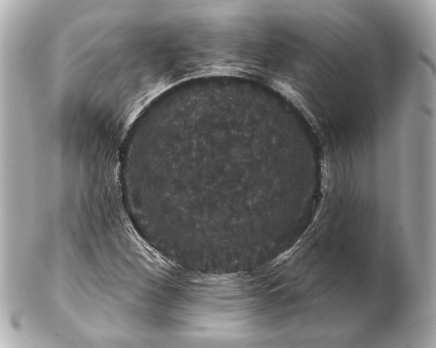 X0000100891260200807011149