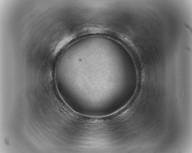X0000100891261200807011149