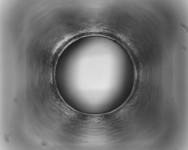 X0000100891262200807011149