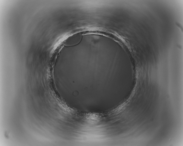X0000100891263200807011149