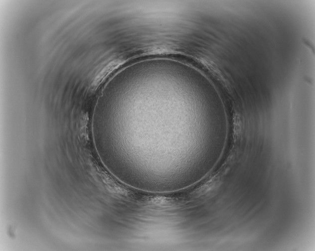 X0000100891265200807011149