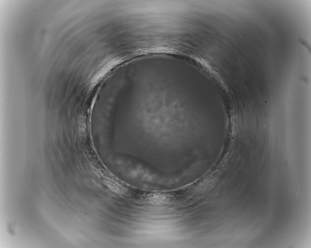 X0000100891266200807011149