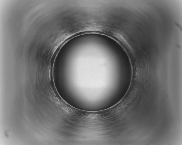 X0000100891268200807011149