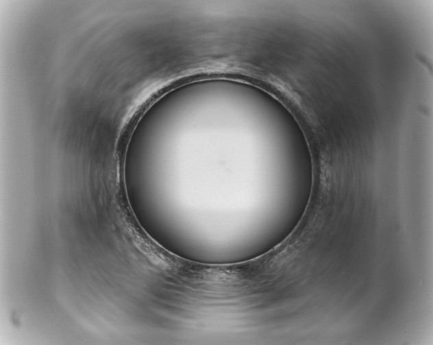 X0000100891270200807011149