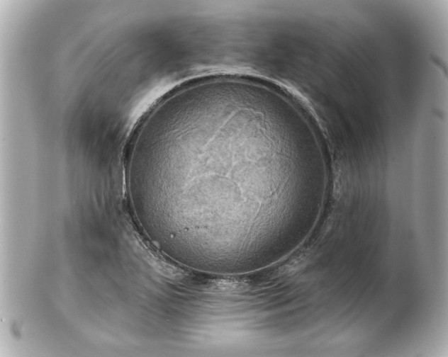 X0000100891271200807011149