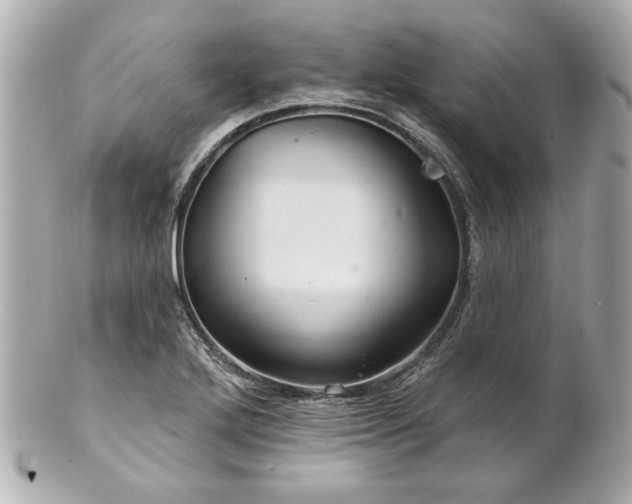 X0000100891272200807011149
