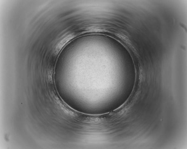 X0000100891273200807011149