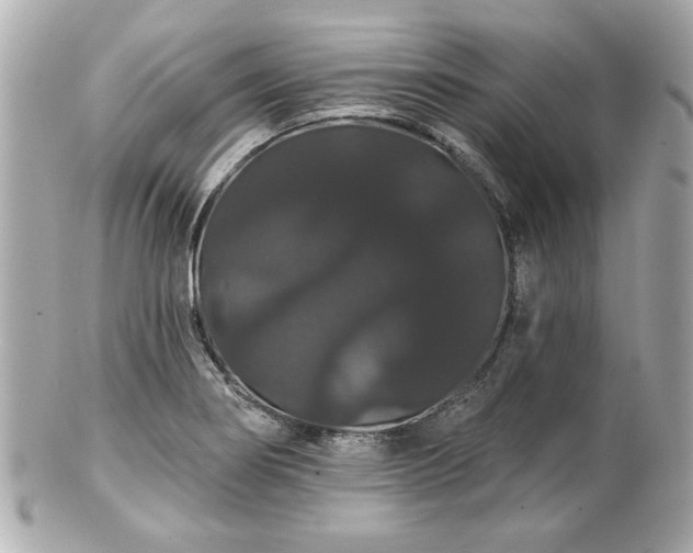 X0000100891274200807011149